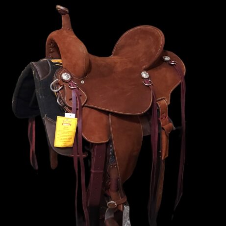 14 1/2 inch Barrel Racer - In Stock - Image 3