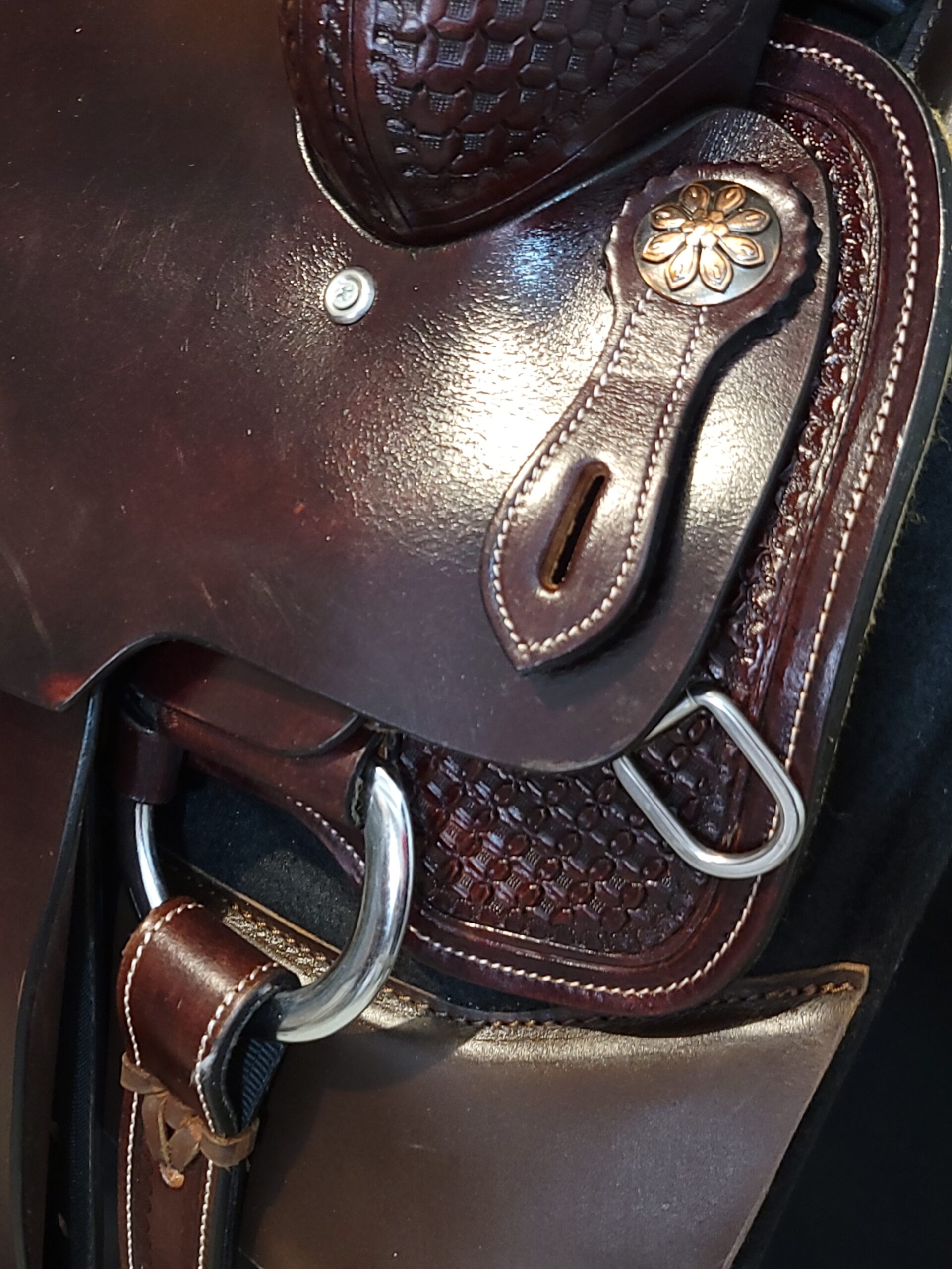 17" Team Roper -In stock - Image 6