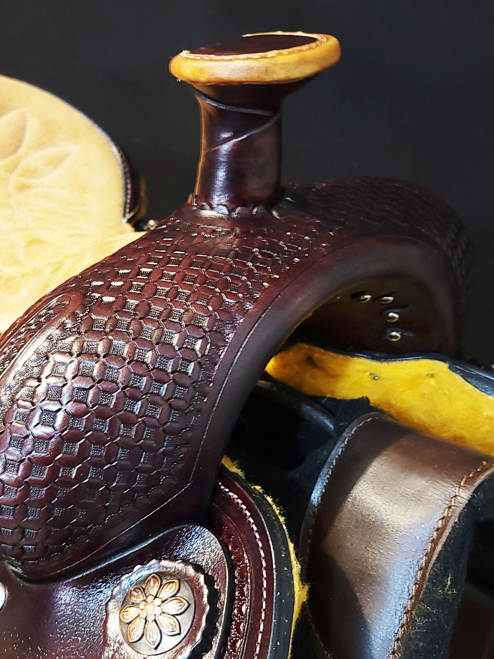 17" Team Roper -In stock - Image 7