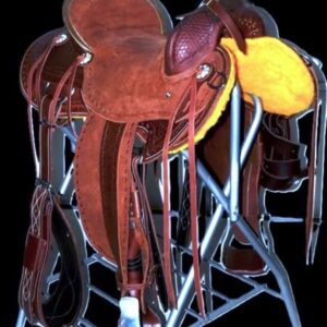 16" Modified Association - Model 1899